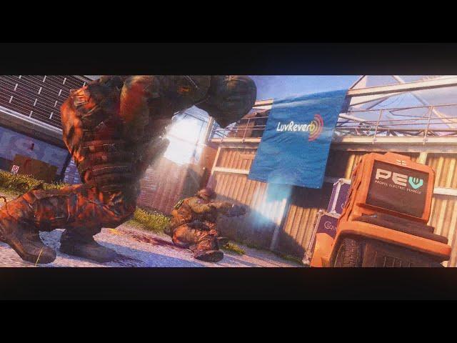 afterlife #WildflowerEC [3rd]