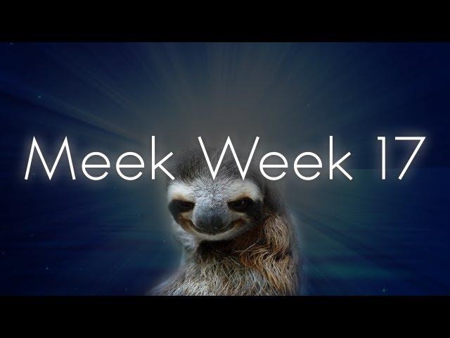 Meek By Oscar. (week 17)
