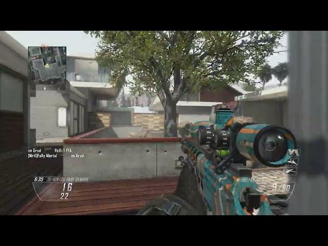 levity - raid