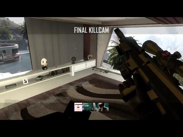 purps - raid [2]