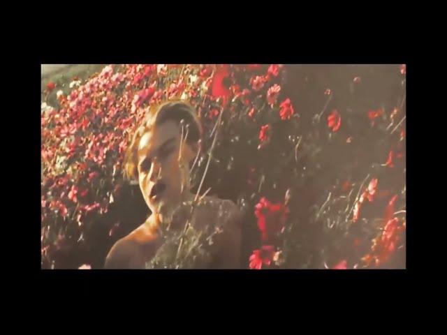 bb so molly (2016) by nonuser & sorb