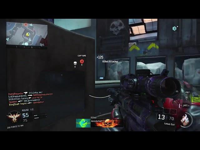 twyman - aquarium