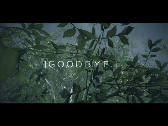(Lost) Goodbye - Vey #SoaRRC