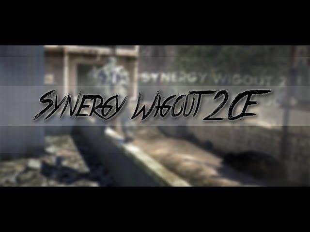 Synergy Wigout's 2CE [READ DESCRIPTION!]