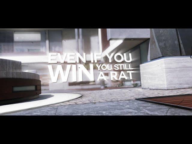 even if you win you still a rat.