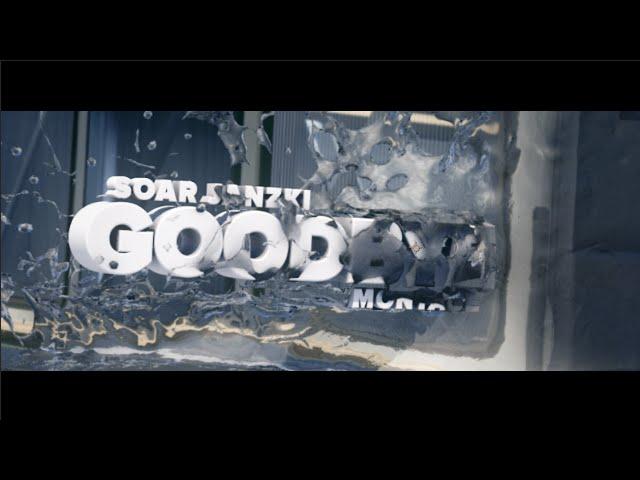 SoaR Janzki - Goodbye Montage
