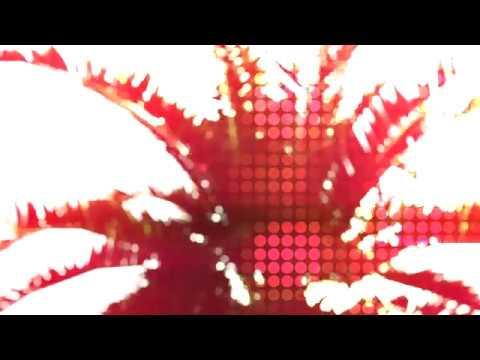 this ground. (editor appclip)
