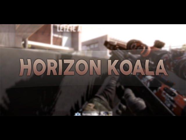 Horizon Koala : Cute Koala #2