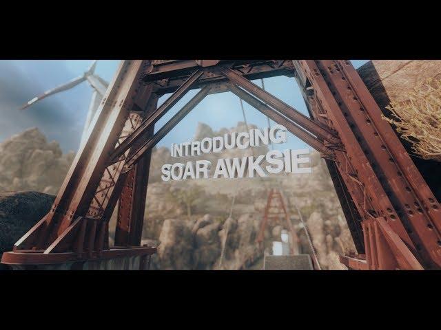 SoaR Awksie